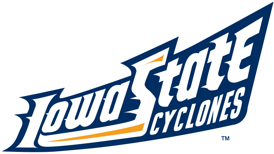 Iowa State Cyclones 1995-2007 Wordmark Logo v7 iron on transfers for clothing